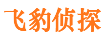 颍州市私家侦探